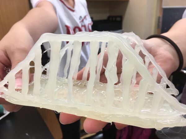 Students hold a small 3D truss bridge made out of melted glue.