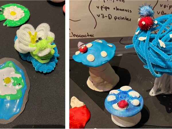 The picture on the left shows 3 versions of lilly pads; one made with pipe cleaners, one with clay and one with paint. The picture on the right shows 3 versions of a blue polka dotted mushroom with a ladybug on top; one with pipecleaners and pompoms, one with clay and one that was 3D printed.